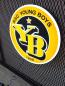 Preview: YB Young Boys Logo Led Leuchtschild Wandleuchte! (rund)